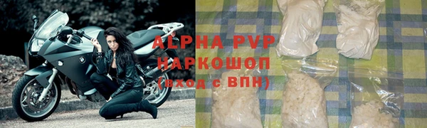 стафф Арсеньев