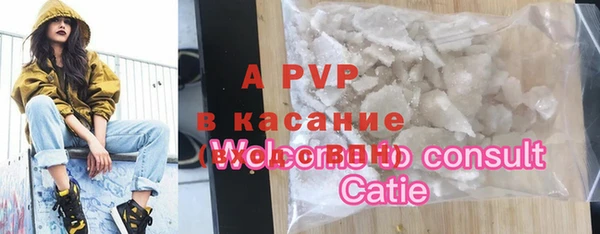 стафф Арсеньев