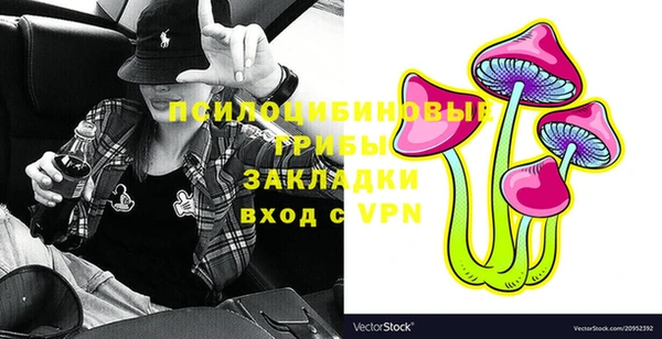 ГАЛЛЮЦИНОГЕННЫЕ ГРИБЫ Армянск