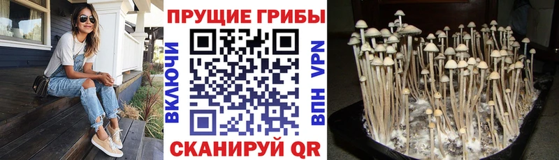 где продают   гидра tor  Галлюциногенные грибы прущие грибы  Таруса 
